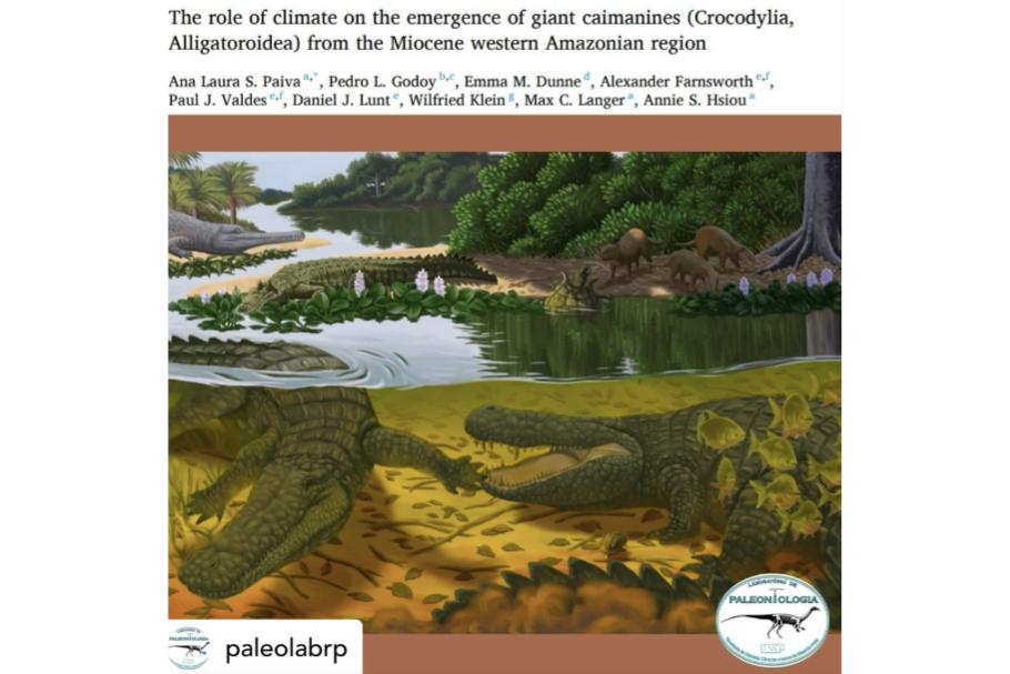 O intenso ano de 2024: artigo sobre o surgimento dos jacarés gigantes da proto-Amazônia