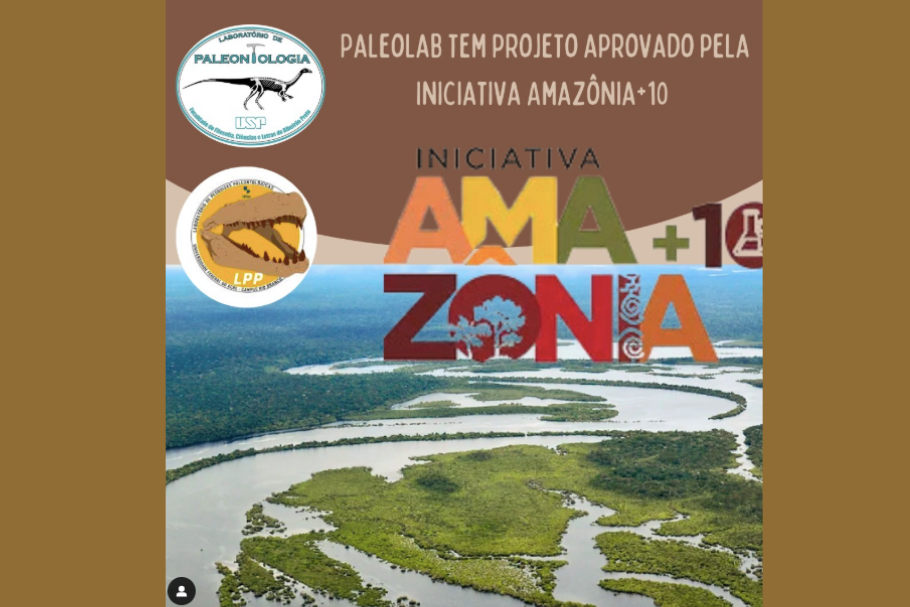 O intenso ano de 2024: aprovado o projeto Amazônia +10!