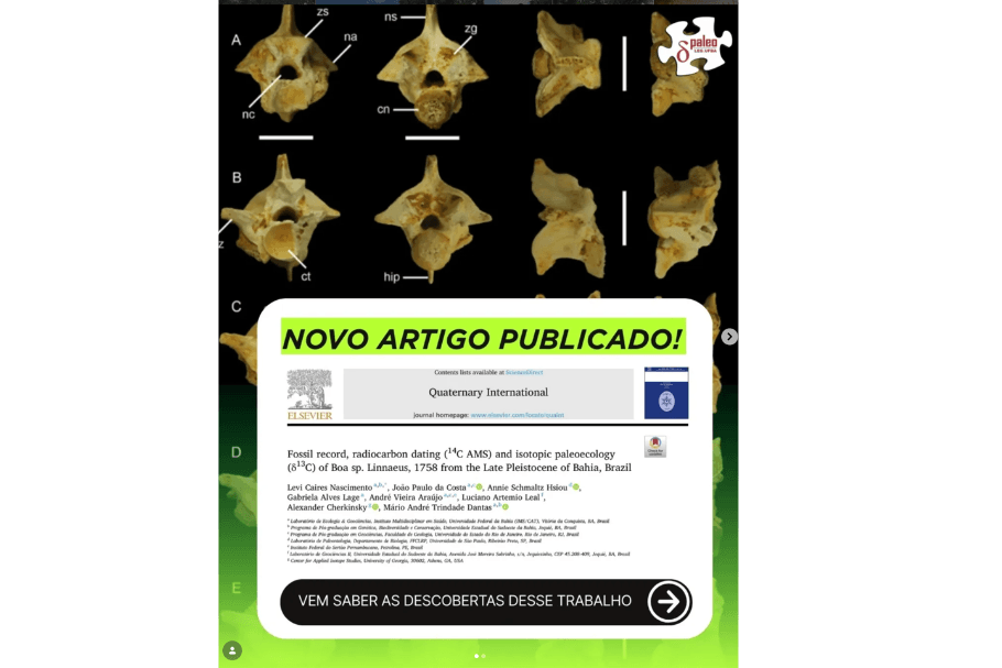 Artigo: Registro de Boa sp. para o Pleistoceno da Bahia