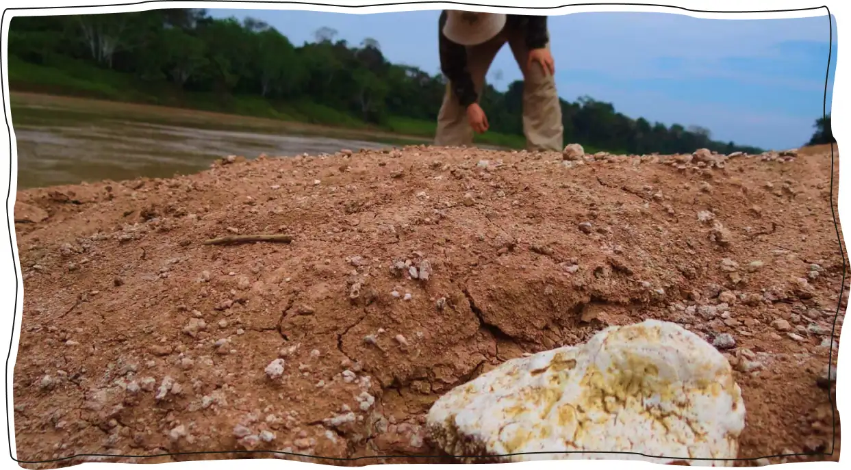Trabalho de campo em paleontologia