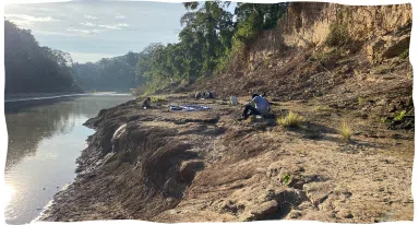 Pesquisa sobre a paleobiodiversidade da Amazônia
