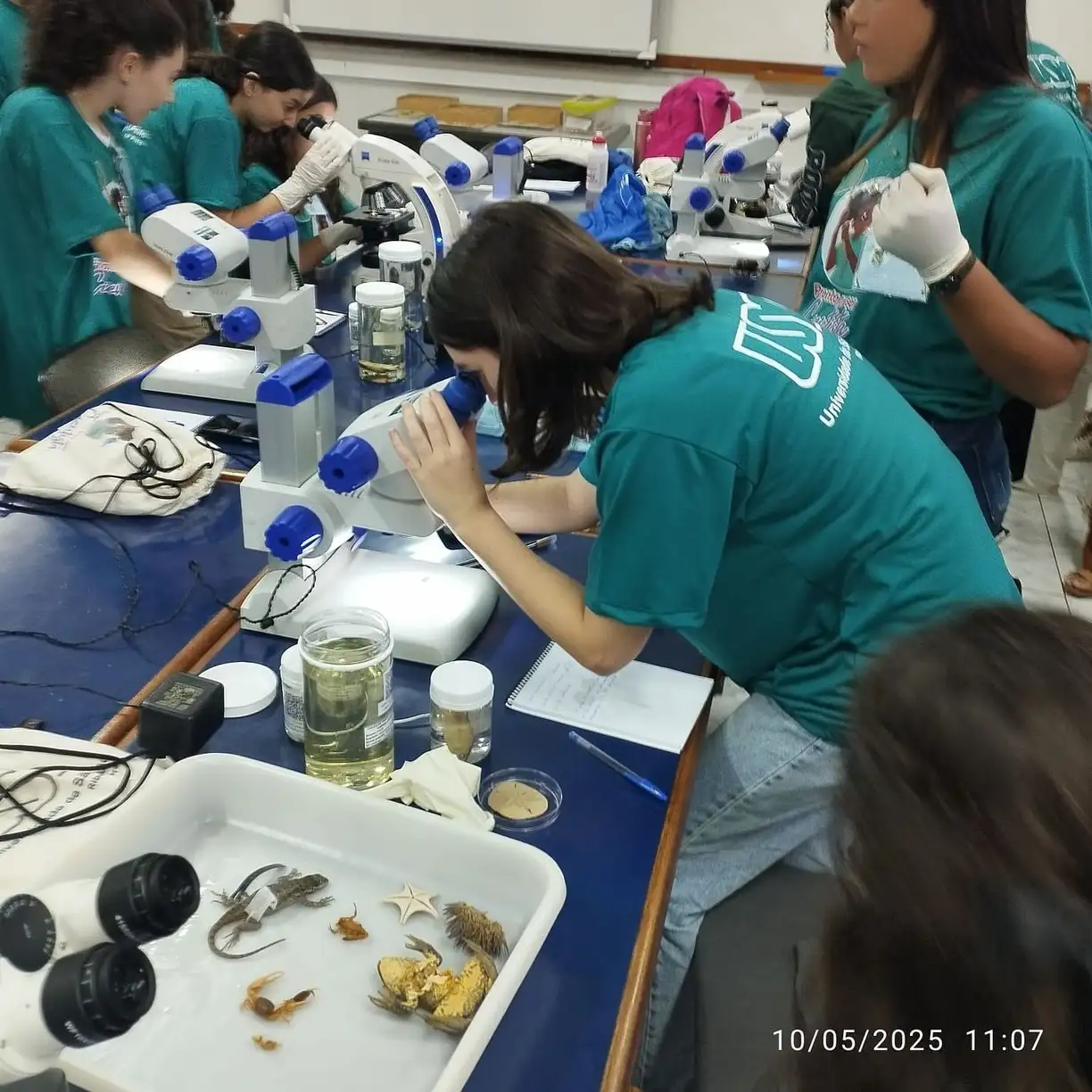 Estudantes do Pronta pra ser Cientista observam amostras em microscópios no laboratório